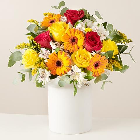 Product photo for Floral Energy: Rosas y Gerberas