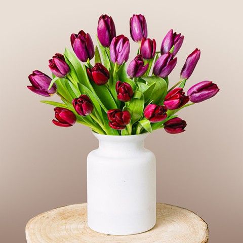 Blushing Love: Tulipanes morados