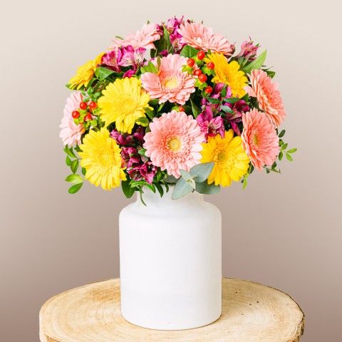 Product photo for Full of Life: Gerberas y Alstroemerias