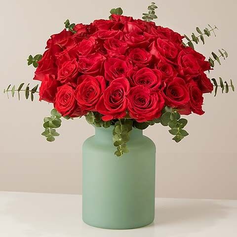 Promesa de amor: 50 Rosas Rojas