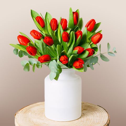 Scarlet Splendor: Tulipanes Rojos