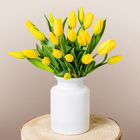 Product photo for Sunny Day: Tulipanes Amarillos