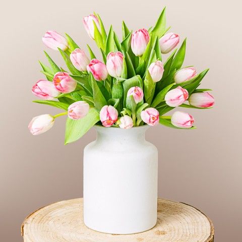 Spring Vibes: Tulipanes Rosa