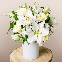 Image 0