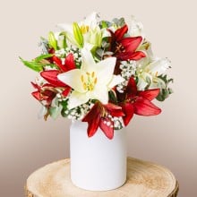 Image 0