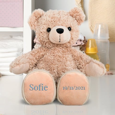 Dear Teddy: Oso de Peluche Personalizado