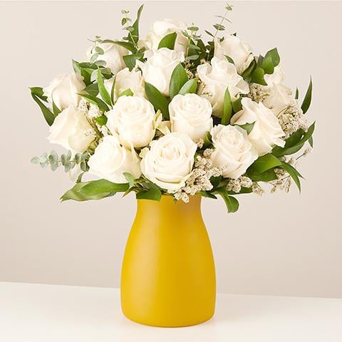 Rose's Elegance: Rosas Blancas