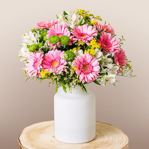 Cupid's Delight: Gerberas y Alstroemerias