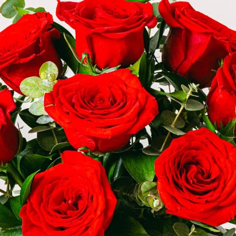 Amor de mamá: Rosas Rojas highlight