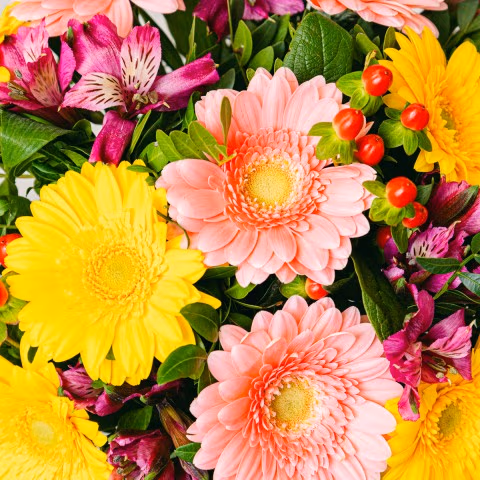Abrazos de Mamá: Gerberas y Alstroemerias highlight