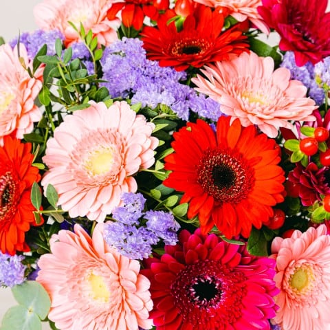 Cóctel Colorido: Gerberas rosas y rojas highlight