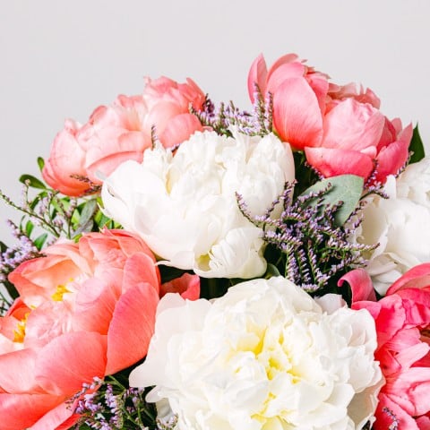 Coral Hug: Peonías Rosas y Blancas highlight
