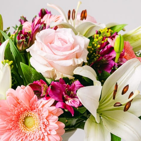 Dream World: Gerberas y Lirios highlight
