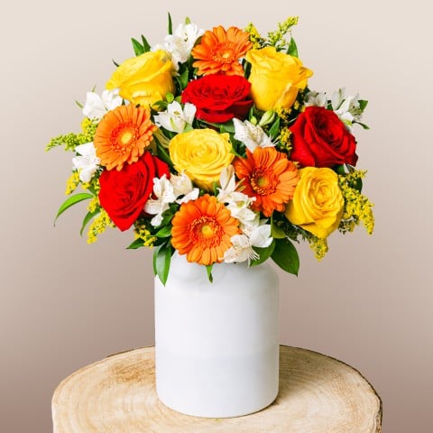 Floral Energy: Rosas y Gerberas