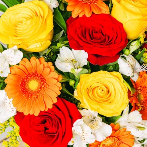Floral Energy: Rosas y Gerberas highlight