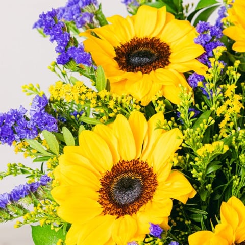 Sunshine boost: Girasoles y Estátice highlight