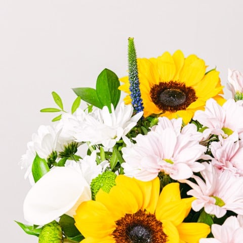 Sunny Lily: Girasoles y Calas highlight