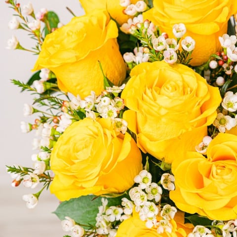 My Sunshine: Rosas Amarillas highlight