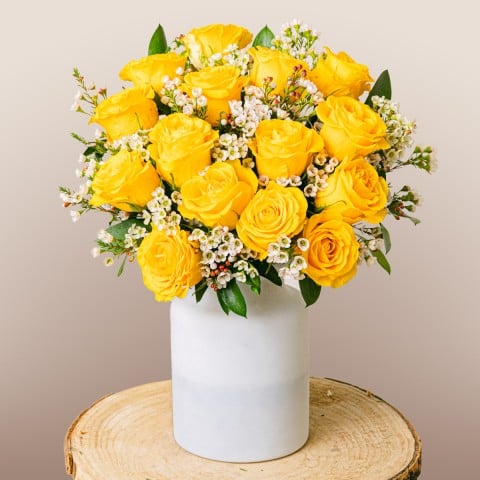 My Sunshine: Rosas Amarillas