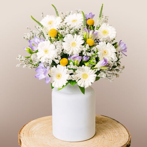 Lullaby: Freesias y Limonium
