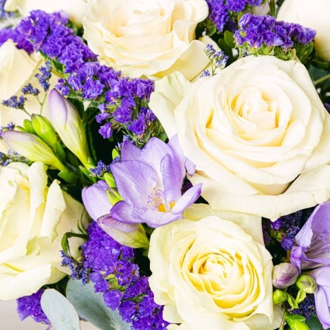 Belleza Elegante: Rosas y Fresias highlight