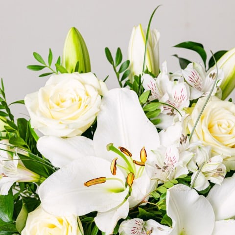 Aurore: Lirios y Rosas highlight
