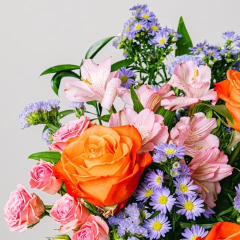 Extra Smiles: Rosas y Aster highlight