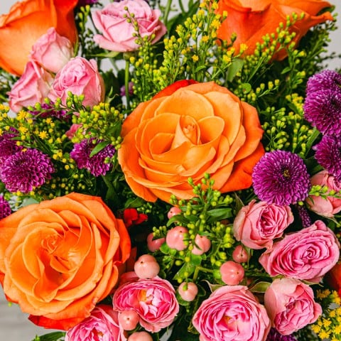 Atardecer: Rosas y Crisantemos highlight