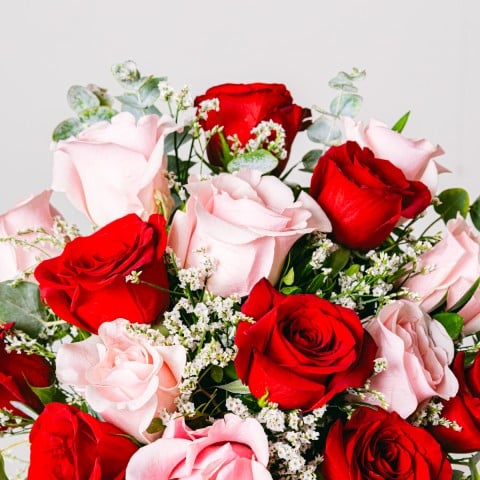 Dulce Amor: Rosas Rojas y Rosadas highlight