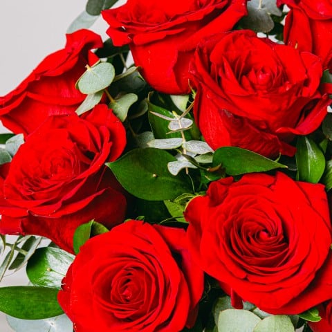 Amor Eterno: Rosas Rojas highlight