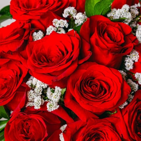 Amor Clásico: 12 Rosas Rojas highlight