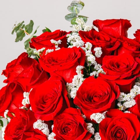 Abrazo de Amor: 20 Rosas Rojas highlight
