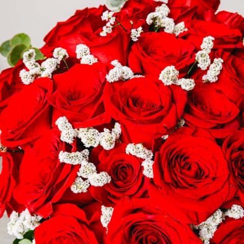 Pasión Infinita: 30 Rosas Rojas highlight
