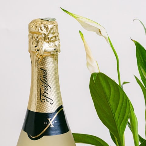 Jardín de Mamá: Lirio de la Paz y Cava highlight