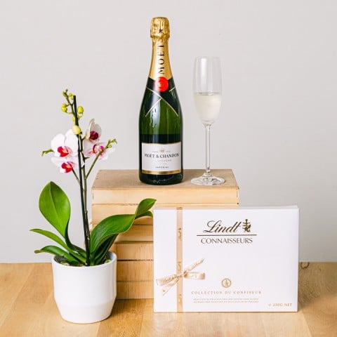 Maravilla Dulce: Selección de Orquídea y Praliné