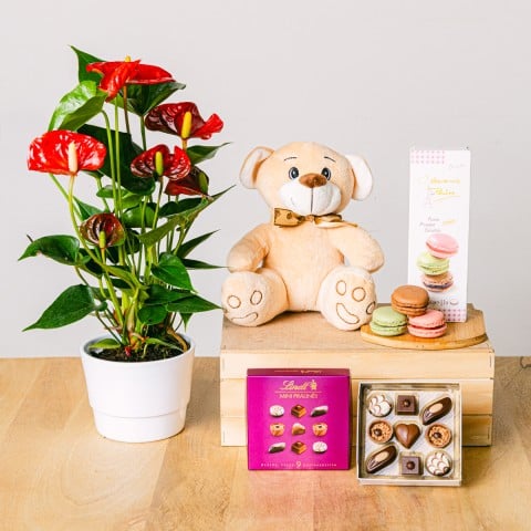 Dulce Medley: Cesta de Regalo Gourmet
