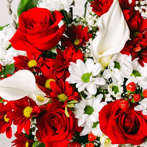 Armonía Suave: Rosas y Calas highlight