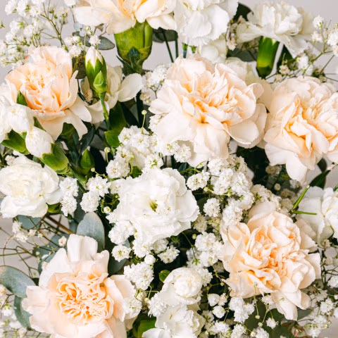 Flores Románticas: Rosas y Claveles highlight