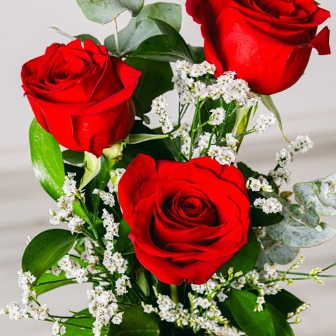 Recordatorio Romántico: Rosas Rojas highlight