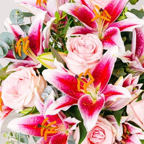 Frescura Sutil: Rosas y Lirios highlight