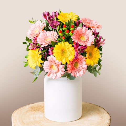 Deseos Iluminados: Gerberas y Alstroemerias