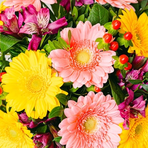 Deseos Soleados: Gerberas y Alstroemerias highlight