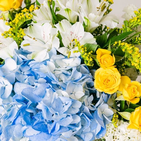 Night Sea: Hortensias y Alstroemeria highlight