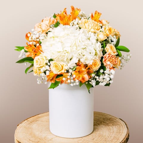 Evocative View: Hortensias y Alstroemeria