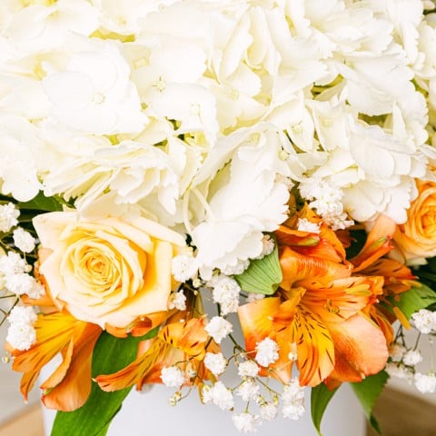Evocative View: Hortensias y Alstroemeria highlight