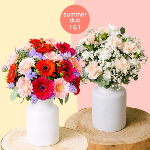 Combo Sonrisas: Gerberas y Claveles