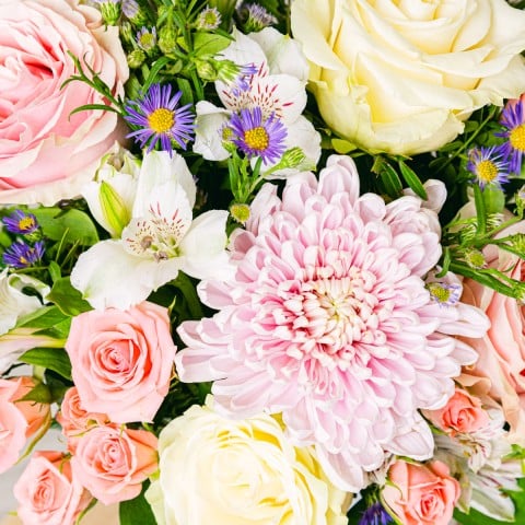 Doble Floración: Rosas y Crisantemos highlight