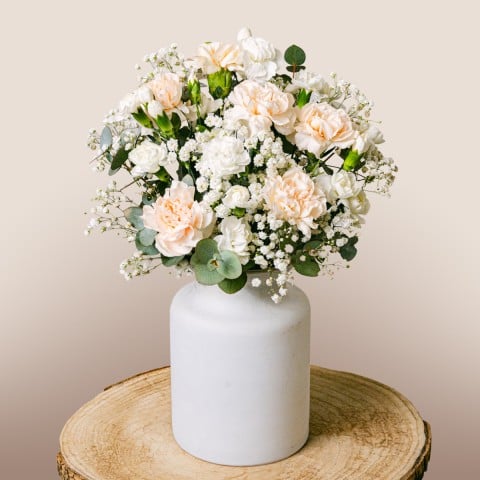 Flores Románticas: Rosas y Claveles