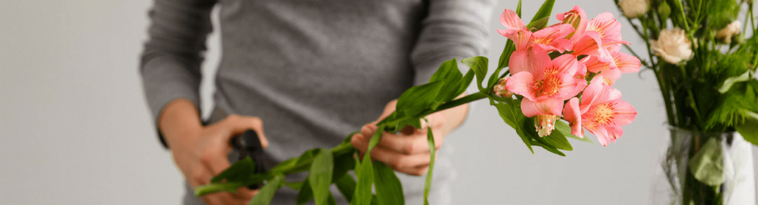 8 Consejos Para Mantener Tus Flores Frescas Más Tiempo » FloraQueen ES