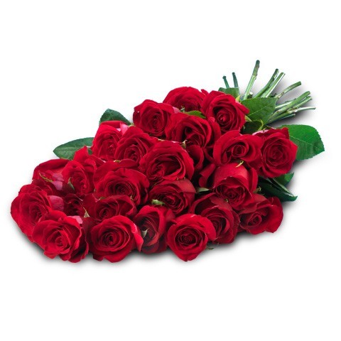 ¿Cuáles son las mejores flores para el día de San Valentín?